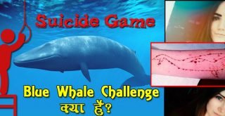 suicide game blue whale challenge